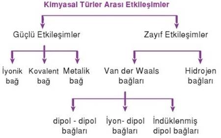 Kimyasal Türler